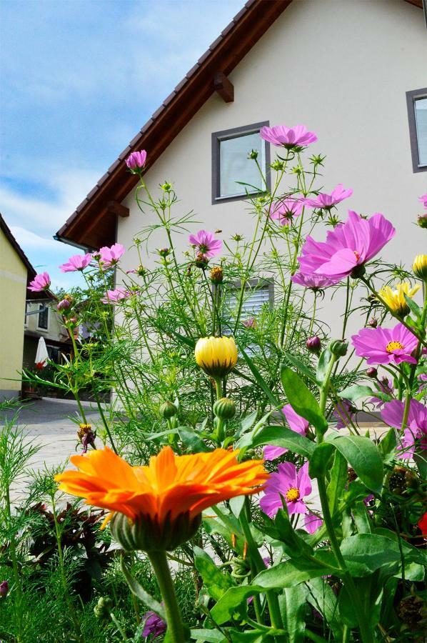 Haus Rosy Ferienwohnung Stubenberg Exteriör bild